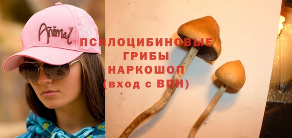винт Няндома