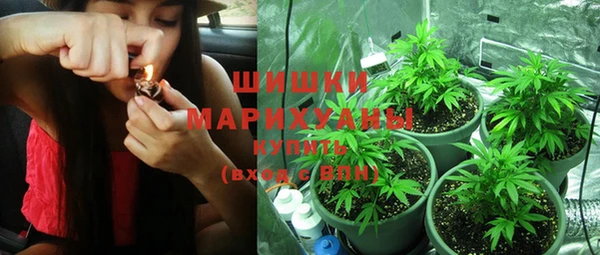 винт Няндома